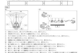 中3理科「無性生殖・有性生殖」学習プリント無料ダウンロード・印刷